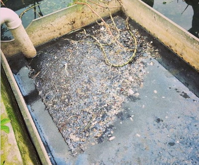 酒店餐飲廢水處理前圖 酒店餐飲廢水處理前圖